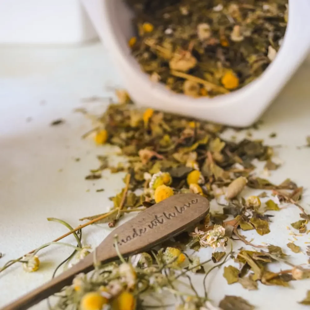 cretan chamomile